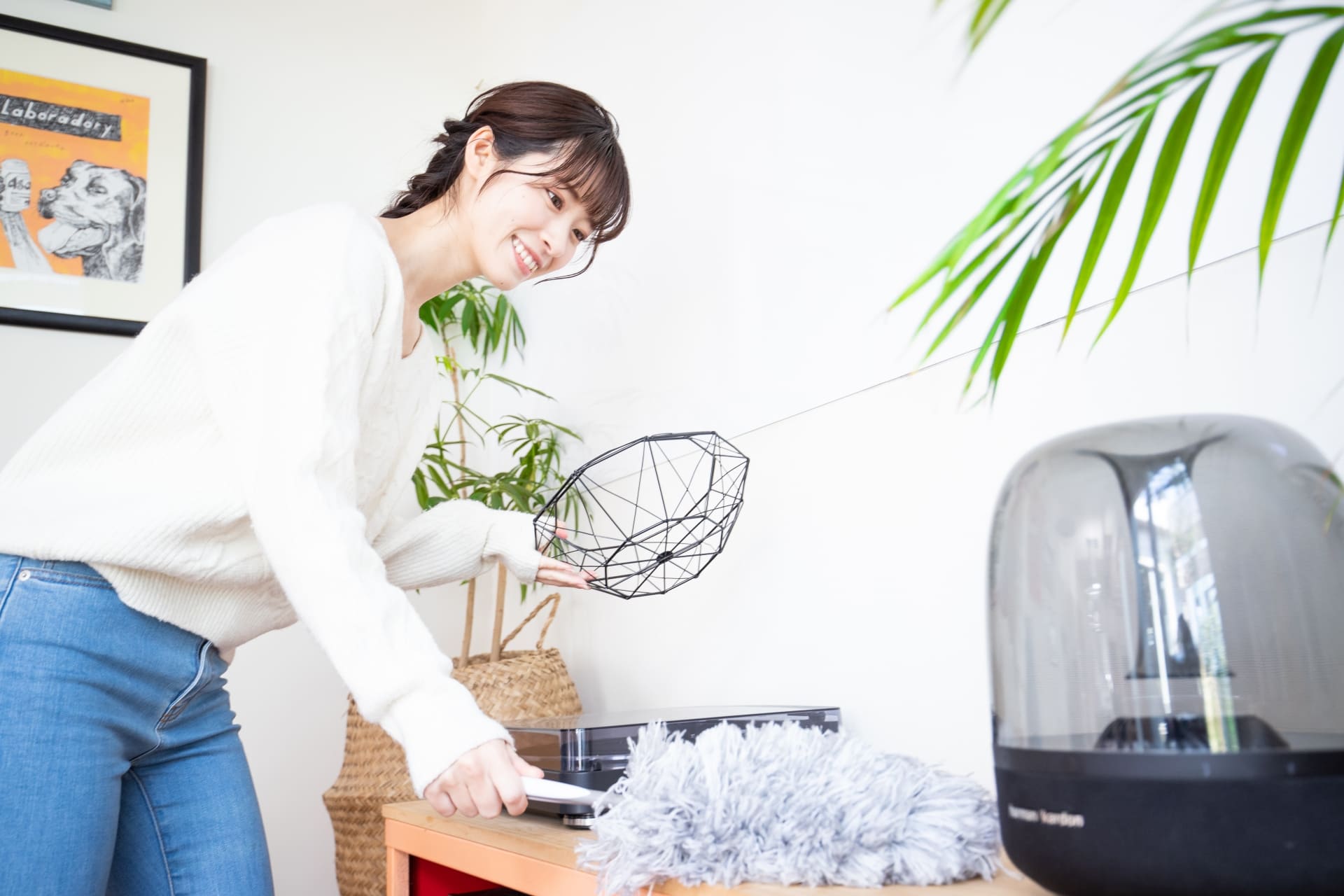 ほこりはどうして溜まるの?ほこりの対策をして心身を健やかに保とう! – プラチナラビ